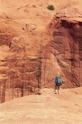On the rim of Goyote Gullch