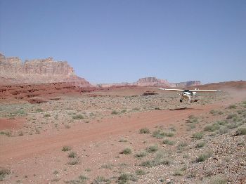 mbut05_m049.jpg
