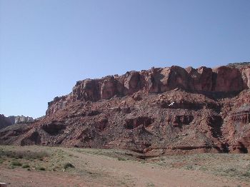 mbut05_m050.jpg